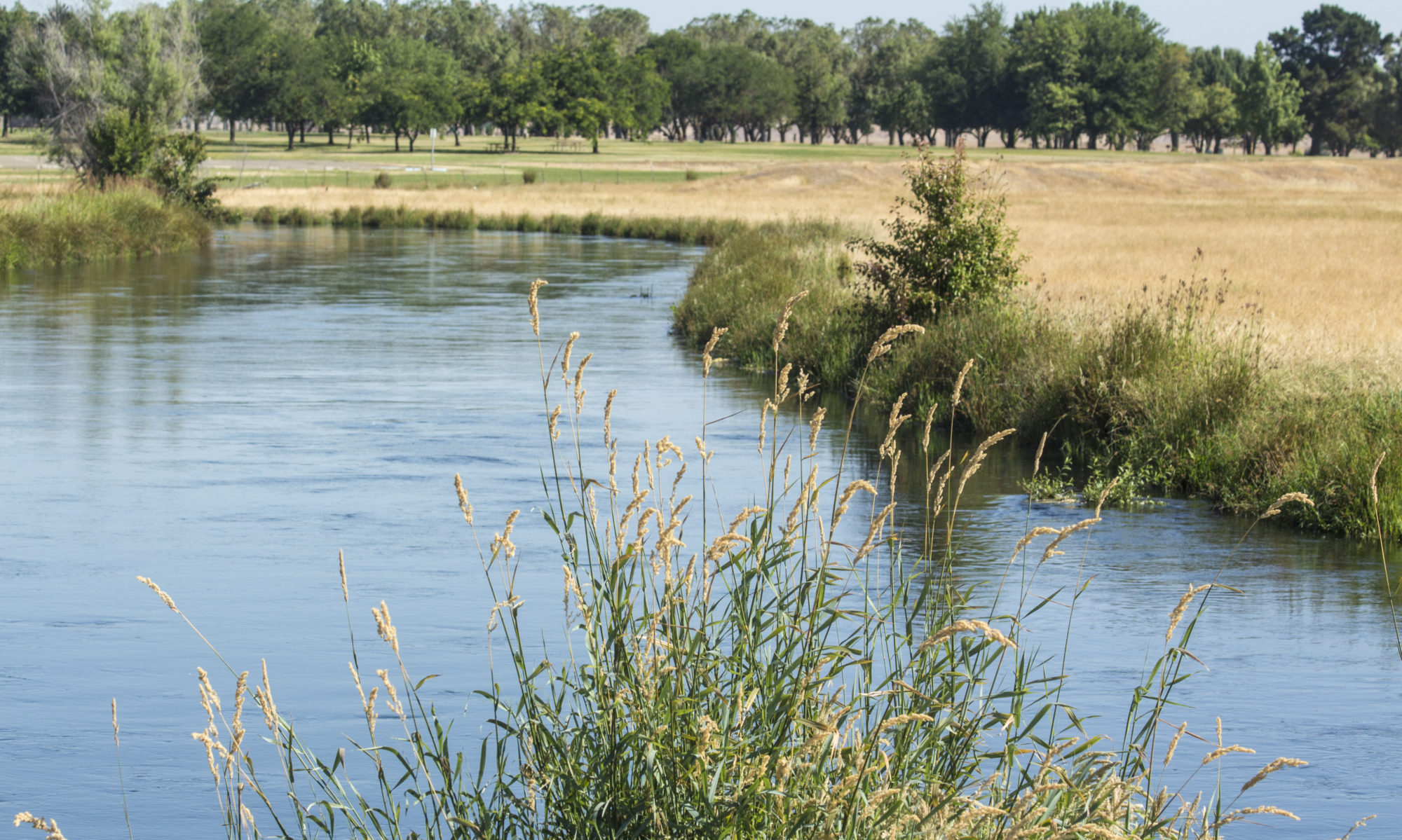 Health in the Valley