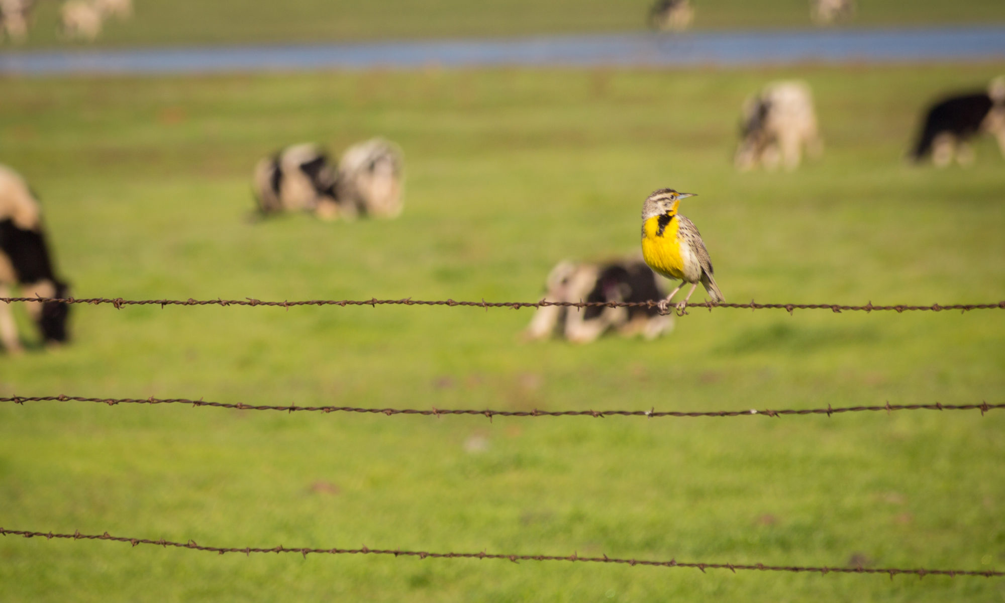 Health in the Valley