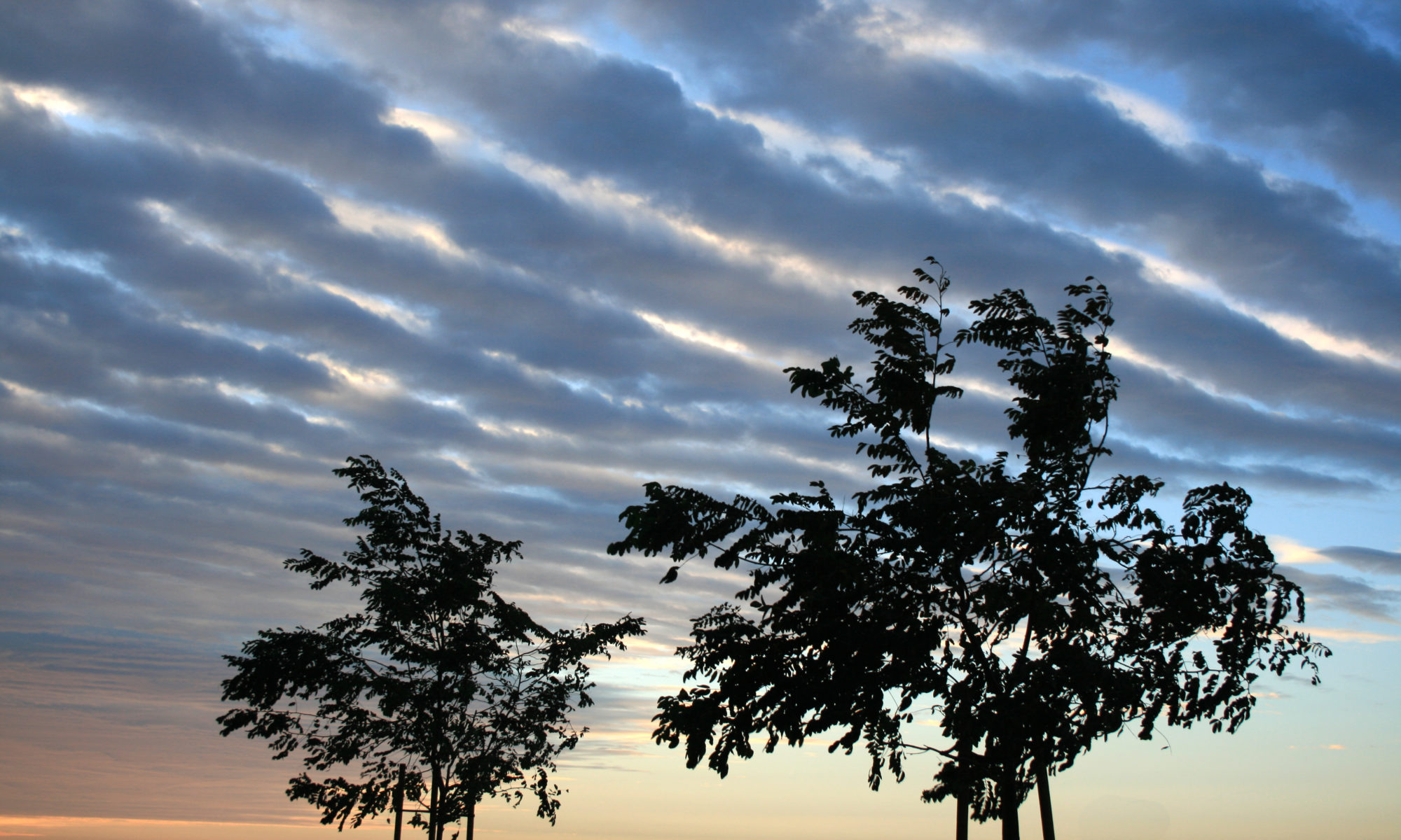 Health in the Valley